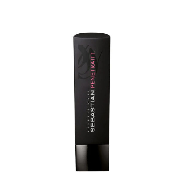 Sebastian Foundation Penetraitt Shampoo 250ml - shampoo riparatore